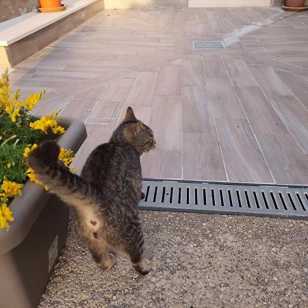 B&B Villa La Ginestra Boscoreale Ngoại thất bức ảnh